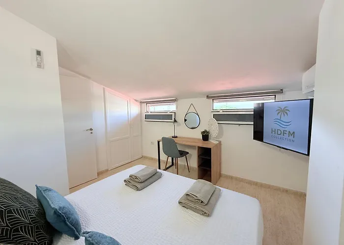 Hdfm Collection - Paradise